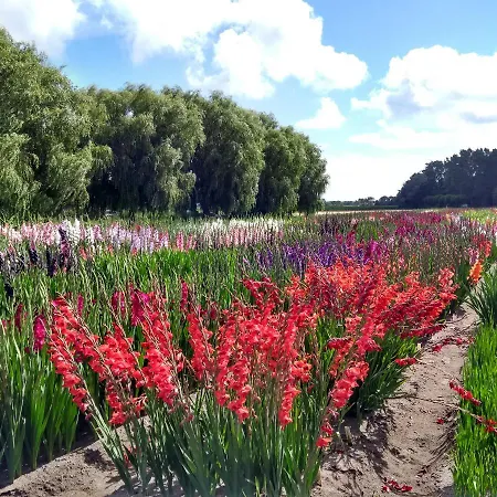 Huize Koningshof * Castricum