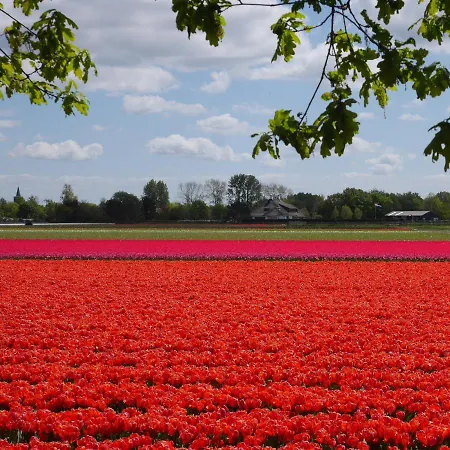 Huize Koningshof Bed & Breakfast Castricum